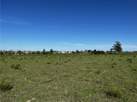 vendo terreno de 15 hectarea en san justo entre rios