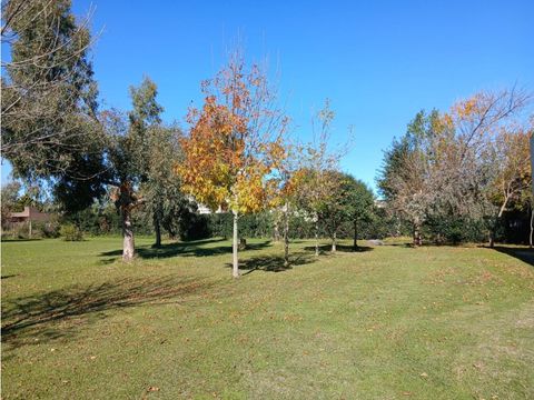 terreno de 1000 m2 con gran potencial de desarrollo la hermosura