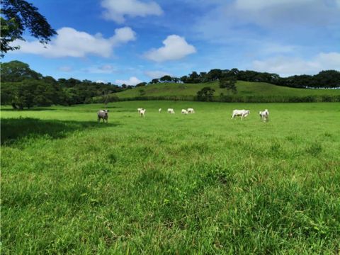 venta de finca ganadera guanacaste abangares