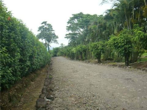 venta de quintas heredia sarapiqui rio frio