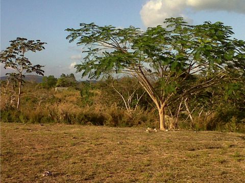 se vende finca en cocle anton us600xm2