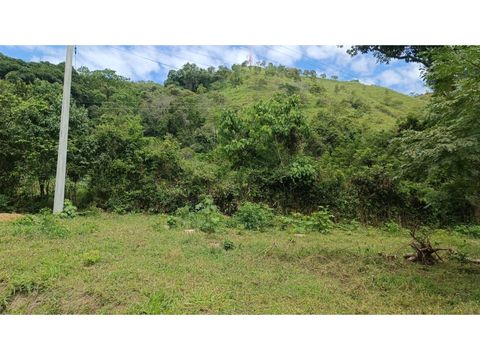 venta de lotes campestres desde 1000 m2 en el totumo ibague
