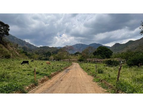 venta de lotes campestres desde 1000 m2 en el totumo ibague