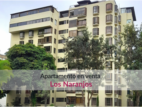 amplio y comodo apartamento en avenida principal de los naranjos