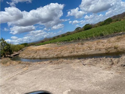 finca de 136 ha con riego en bagaces