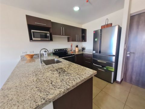 alquiler de apartamento en torres de paseo colon