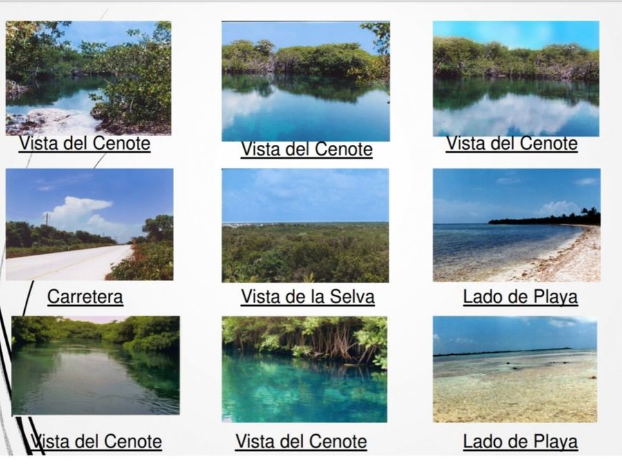 326 hectareas carretera playa y 2 cenotes