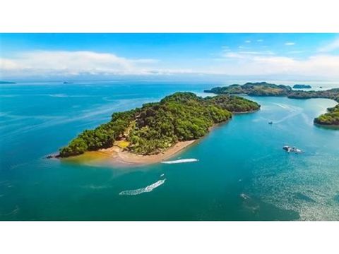 isla cedros paraiso bioluminiscente de costa rica