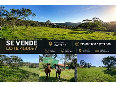 lote en venta en cartago 4500m2