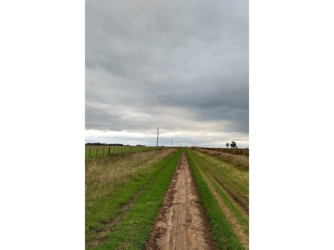 200 hectareas agricola ganadera en labordevoy