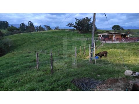 vendo finca ganadera 15 hectareas con casa grande en cajibio