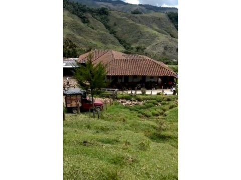 venta finca ganadera en tamesis vereda san antonio