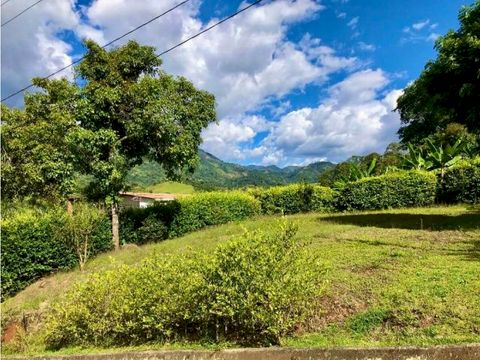 venta lote en andes sector campamento udea