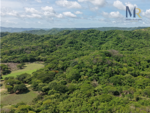 oportunidad de inversion 73 ha 1818 acres uso de suelo mixto
