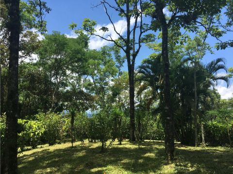 terreno en guayabo de mora viva en armonia con la naturaleza