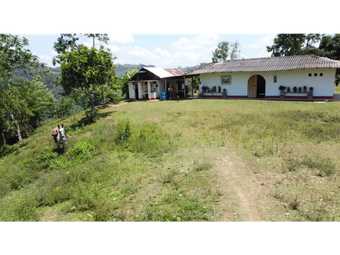 se vende finca ganadera en maceo la floresta