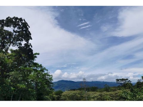 venta propiedad 357 ha paraiso cartago costa rica