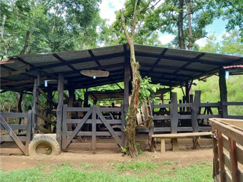 venta de finca en esparza puntarenas sector parcelas el baron