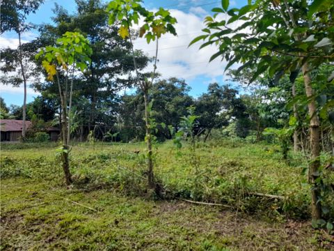 se vende terreno en san rafael de parrita