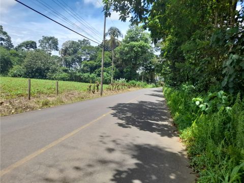 venta de terreno ideal para inversion en tarire pococi