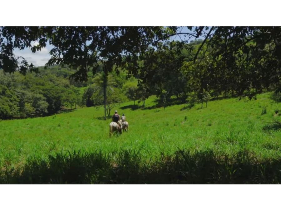 finca de 188 hectareas excelente para ganado repasto y bosque