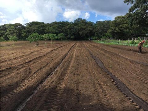 propiedad rincon de la vieja