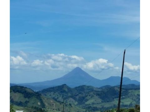 finca ganadera la chiripa