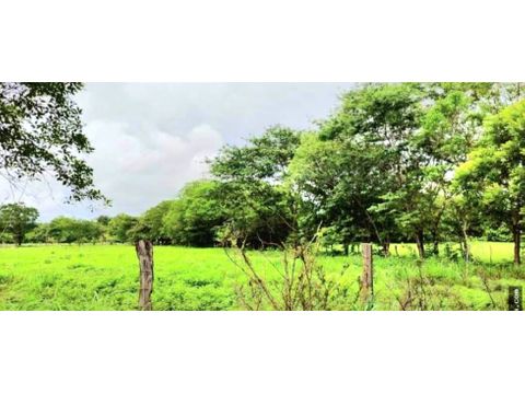 sardinal farm for sale