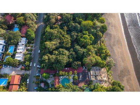 beautiful beachfront lot