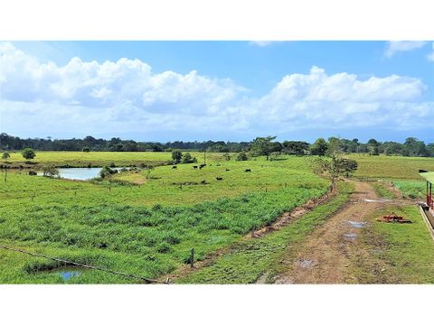 finca el porvenir