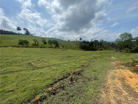 lote en venta rionegro