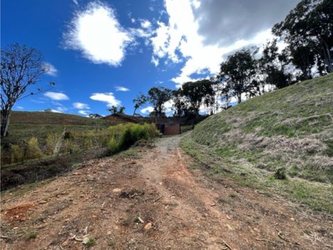 lote en venta via las palmas vereda yarumal