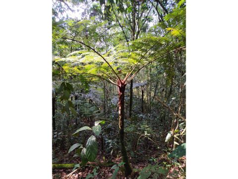 venta lote santa elena antioquia