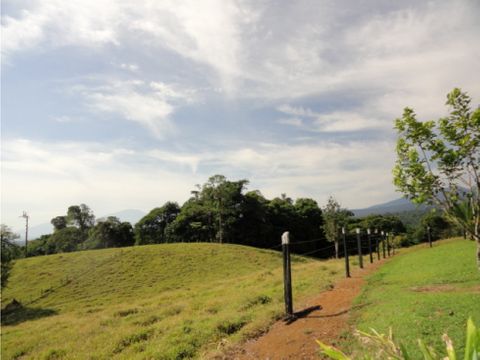 finca cacho negro orquetas de sarapiqui