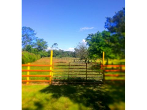 hermosa finca en orquetas sarapiqui