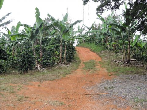 finca en santa rosa de leon cortez