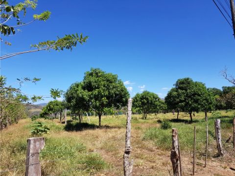 venta de finca en turrubares