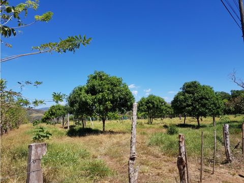 venta de finca en turrubares