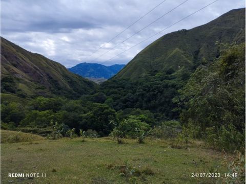 vendo finca ganadera 45ha chaparral tolima