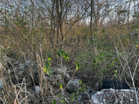 terreno en chichi suarez yucatan