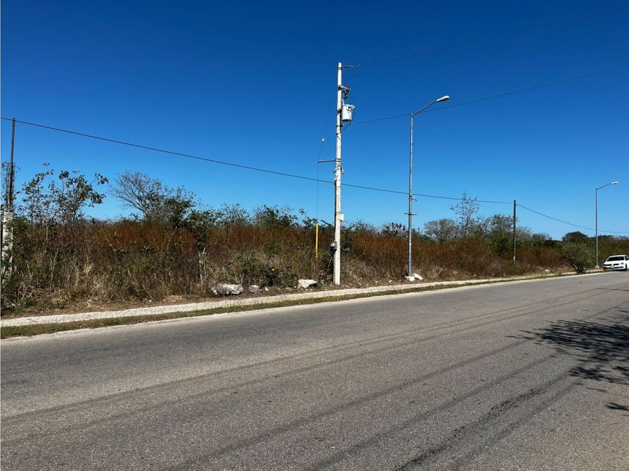 terreno sobre carretera en dzununcan yucatan