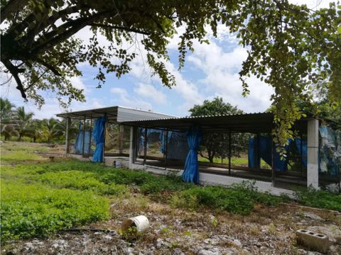 venta de terreno de 55 hectareas en uman yucatan