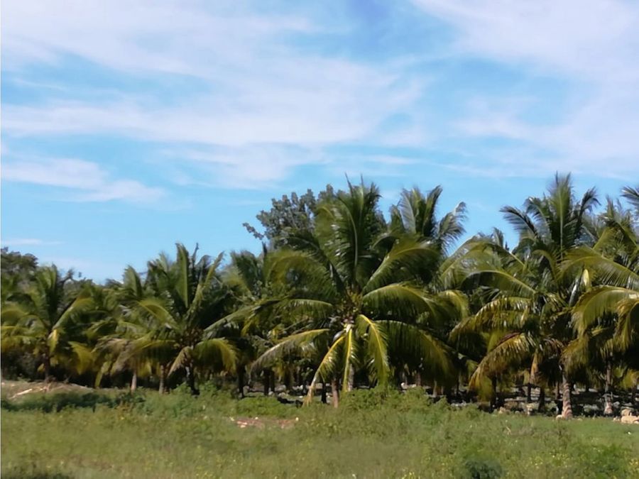 venta de terreno de 55 hectareas en uman yucatan