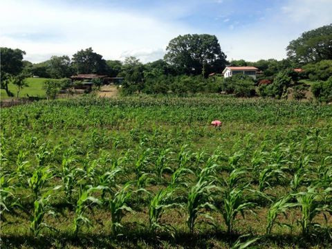 se vende gran terreno en la canada alajuela