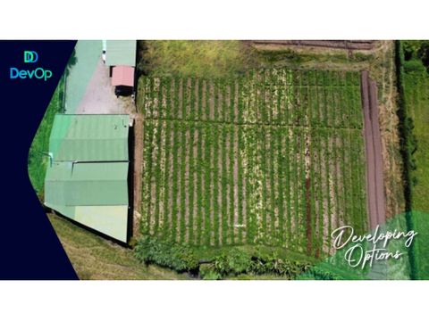 venta de finca agroindustrial en tejar del guarco cartago