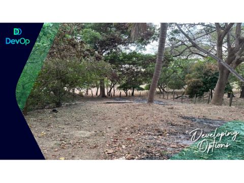 lote en venta papagayo guanacaste