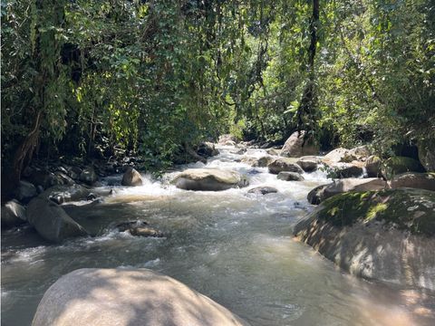 best farm in san isidro del general river front