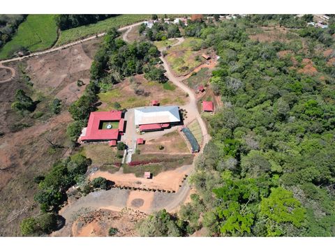 16 hectare farm for sale in perez zeledon costa rica