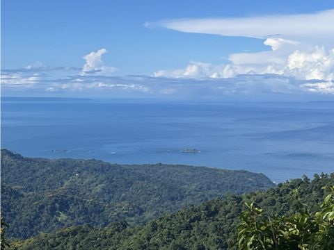 the perfect land ocean view development great location