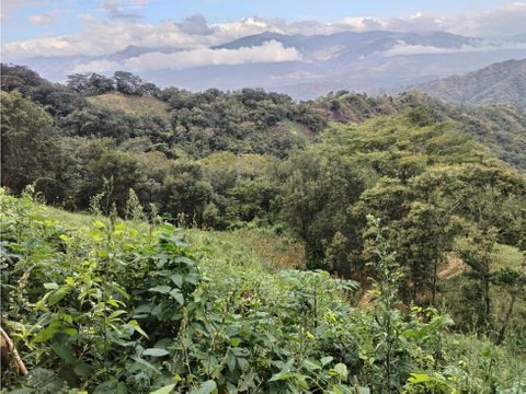 terreno en alquiler en aldea el chile gualan zacapa